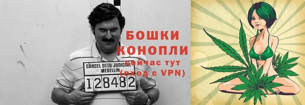mdpv Инсар