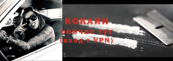 mdpv Инсар