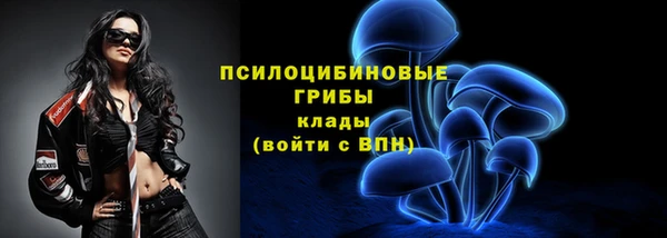 2c-b Иннополис