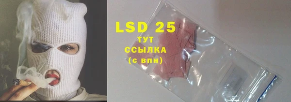 бошки Инта