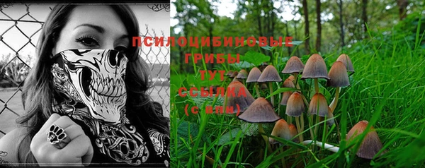 2c-b Иннополис