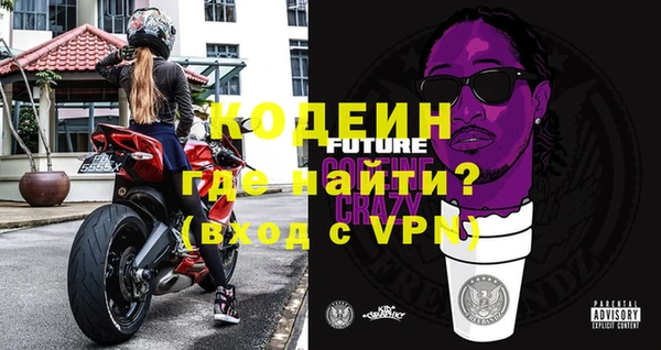 бошки Инта