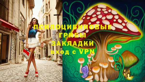 mdpv Инсар