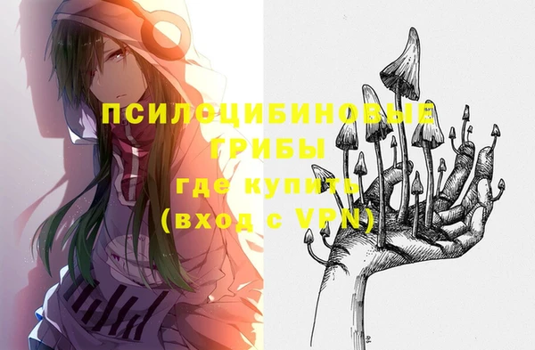 2c-b Иннополис