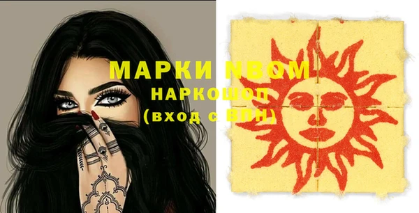 бошки Инта