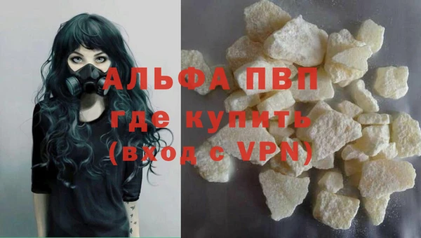бошки Инта