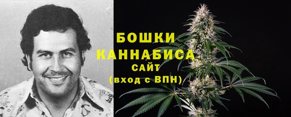 бошки Инта