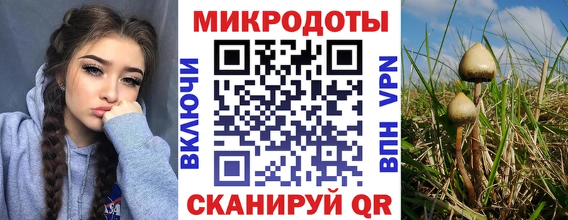 Псилоцибиновые грибы мухоморы  Ярцево 