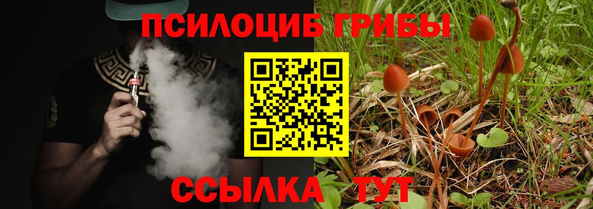 Псилоцибиновые грибы прущие грибы  Галлюциногенные грибы Psilocybine cubensis  Вход с VPN  Ярцево 