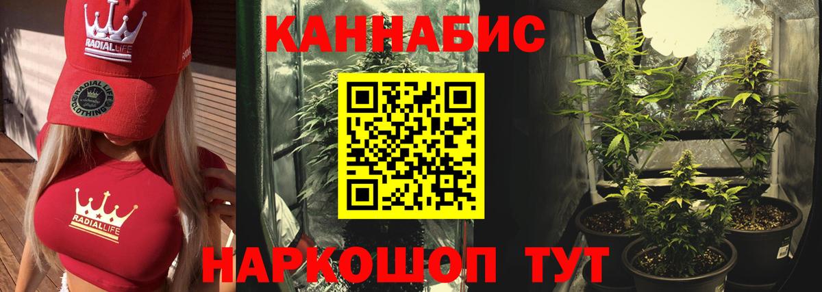 Бошки Шишки Amnesia  Вход с VPN  Бошки Шишки ГИДРОПОН  Ярцево 